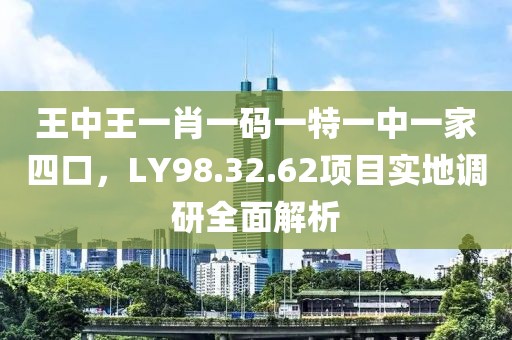 王中王一肖一码一特一中一家四口，LY98.32.62项目实地调研全面解析