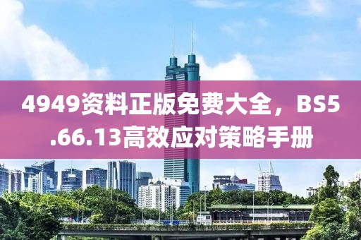 4949资料正版免费大全，BS5.66.13高效应对策略手册