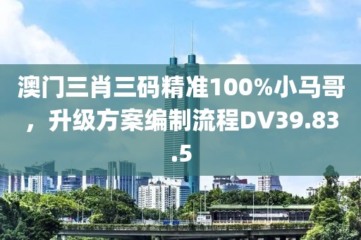 澳门三肖三码精准100%小马哥，升级方案编制流程DV39.83.5