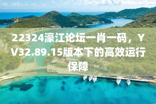22324濠江论坛一肖一码，YV32.89.15版本下的高效运行保障