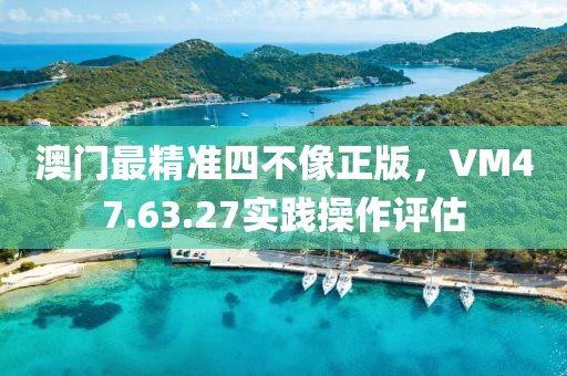 澳门最精准四不像正版，VM47.63.27实践操作评估