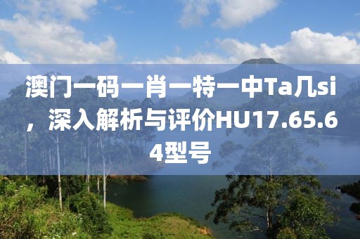 澳门一码一肖一特一中Ta几si，深入解析与评价HU17.65.64型号