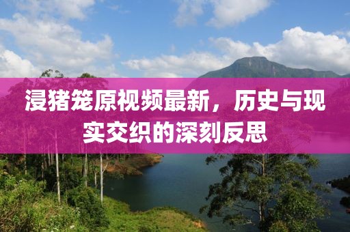 浸猪笼原视频最新，历史与现实交织的深刻反思