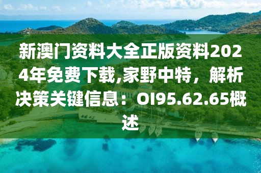 新澳门资料大全正版资料2024年免费下载,家野中特，解析决策关键信息：OI95.62.65概述