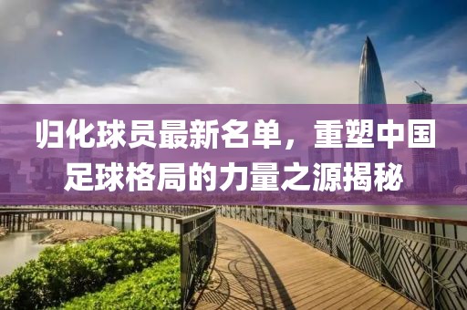归化球员最新名单，重塑中国足球格局的力量之源揭秘