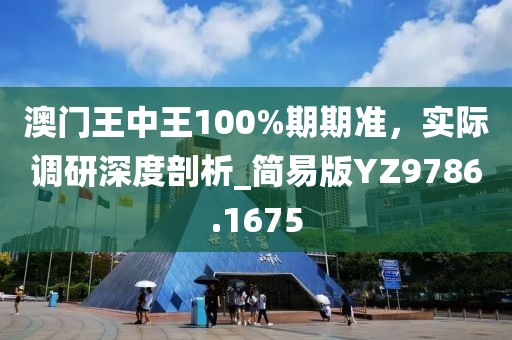 澳门王中王100%期期准，实际调研深度剖析_简易版YZ9786.1675