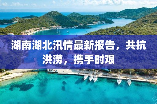 南故归 第22页