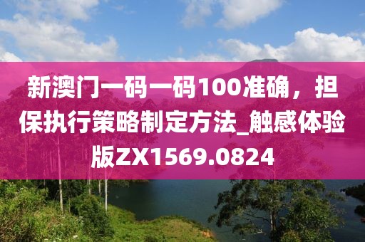 新澳门一码一码100准确，担保执行策略制定方法_触感体验版ZX1569.0824