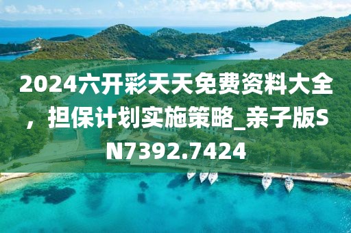 2024六开彩天天免费资料大全，担保计划实施策略_亲子版SN7392.7424