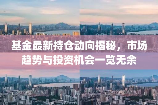 基金最新持仓动向揭秘，市场趋势与投资机会一览无余