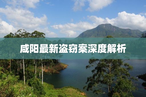 咸阳最新盗窃案深度解析