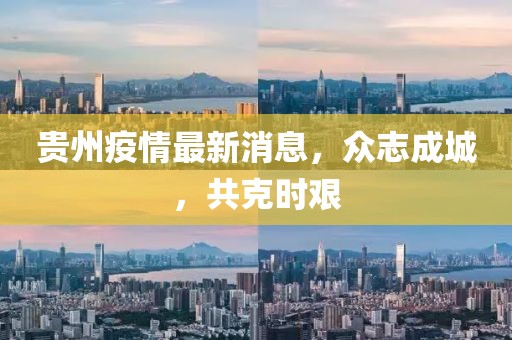 贵州疫情最新消息，众志成城，共克时艰