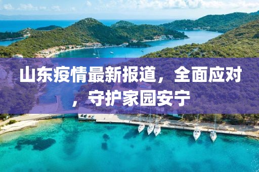山东疫情最新报道，全面应对，守护家园安宁