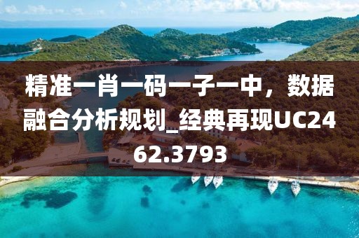 精准一肖一码一子一中，数据融合分析规划_经典再现UC2462.3793