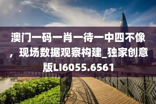 澳门一码一肖一待一中四不像，现场数据观察构建_独家创意版LI6055.6561