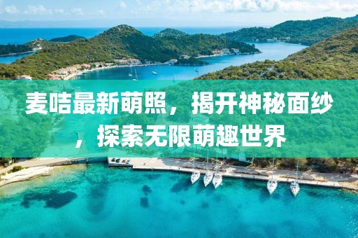 最清晰的声音 第24页