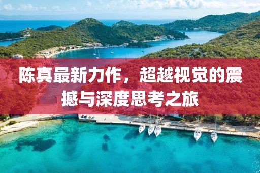 陈真最新力作，超越视觉的震撼与深度思考之旅