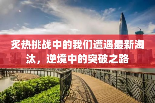 炙热挑战中的我们遭遇最新淘汰，逆境中的突破之路