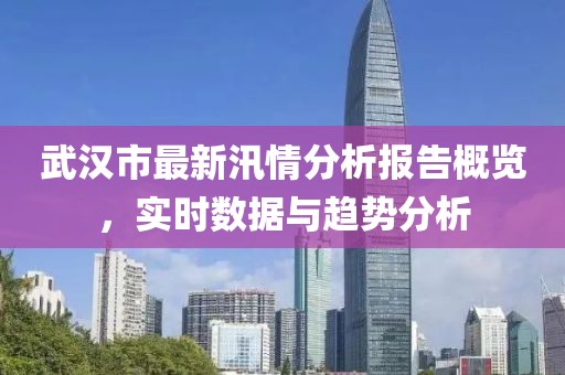 武汉市最新汛情分析报告概览，实时数据与趋势分析
