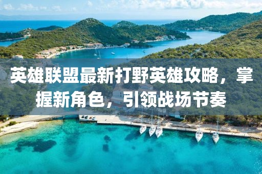 英雄联盟最新打野英雄攻略，掌握新角色，引领战场节奏