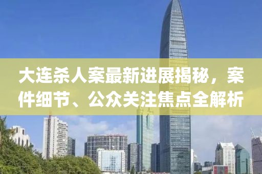 大连杀人案最新进展揭秘，案件细节、公众关注焦点全解析