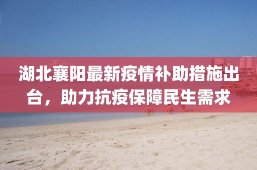 湖北襄阳最新疫情补助措施出台，助力抗疫保障民生需求