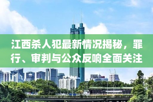 江西杀人犯最新情况揭秘，罪行、审判与公众反响全面关注