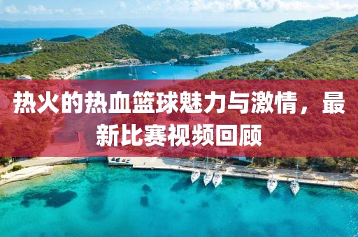 热火的热血篮球魅力与激情，最新比赛视频回顾