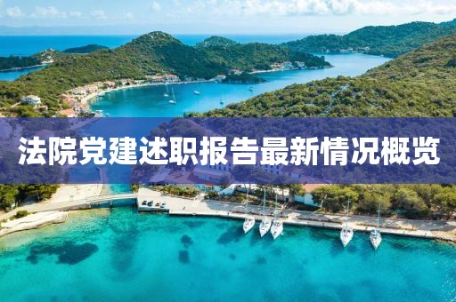 法院党建述职报告最新情况概览