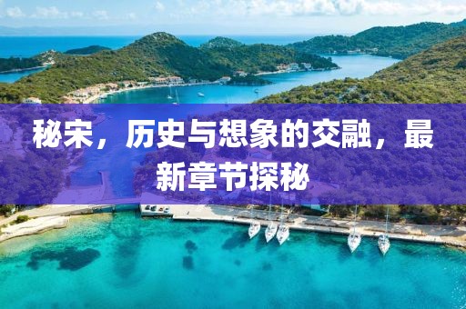 安旭薇 第18页