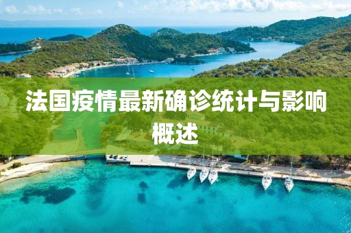 法国疫情最新确诊统计与影响概述
