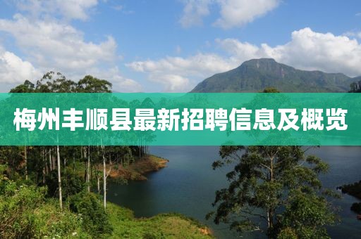 梅州丰顺县最新招聘信息及概览