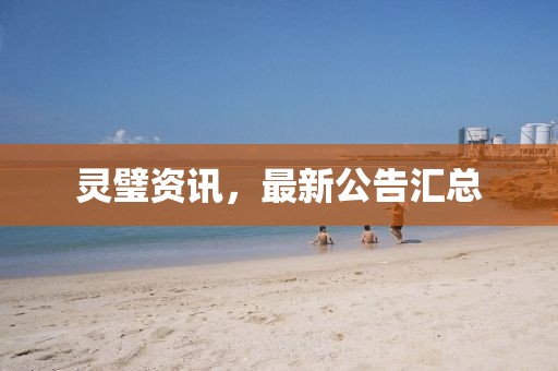 灵璧资讯，最新公告汇总