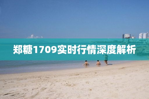 郑糖1709实时行情深度解析