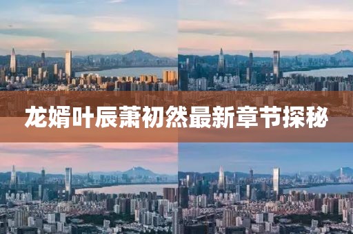 龙婿叶辰萧初然最新章节探秘
