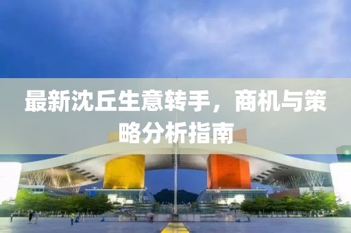 最新沈丘生意转手，商机与策略分析指南