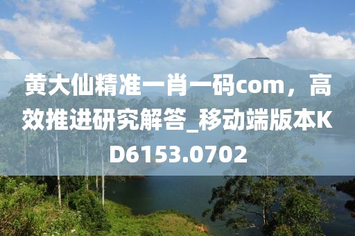 黄大仙精准一肖一码com，高效推进研究解答_移动端版本KD6153.0702
