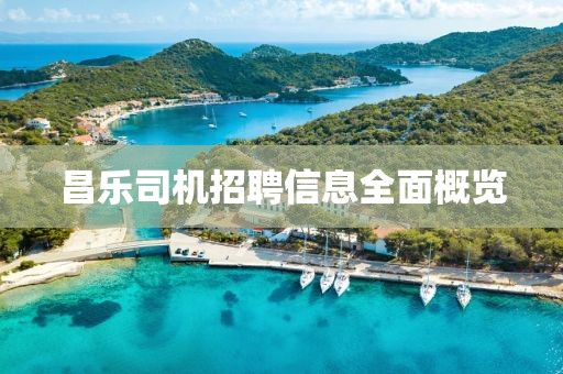昌乐司机招聘信息全面概览