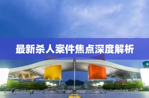 最新杀人案件焦点深度解析