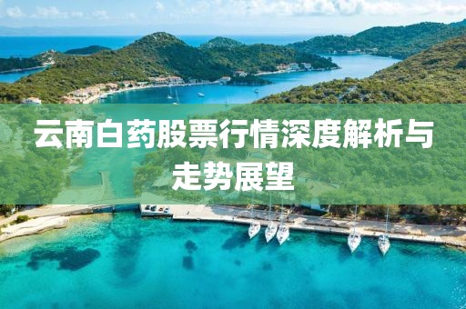 云南白药股票行情深度解析与走势展望