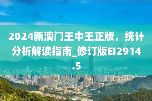 2024新澳门王中王正版，统计分析解读指南_修订版EI2914.5