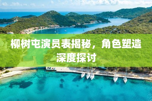 柳树屯演员表揭秘，角色塑造深度探讨