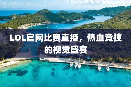 LOL官网比赛直播，热血竞技的视觉盛宴