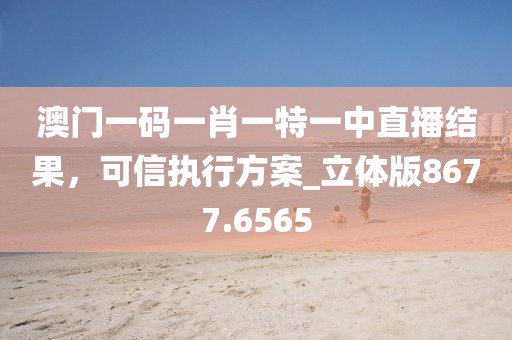 澳门一码一肖一特一中直播结果，可信执行方案_立体版8677.6565