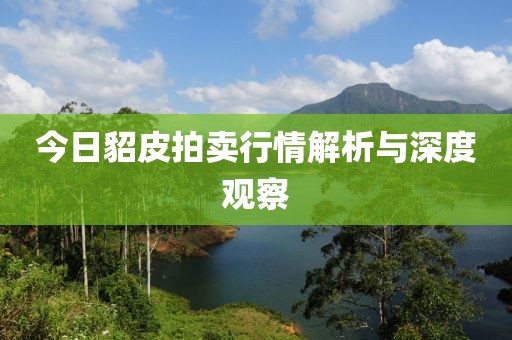 今日貂皮拍卖行情解析与深度观察