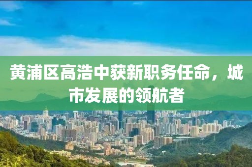 黄浦区高浩中获新职务任命，城市发展的领航者
