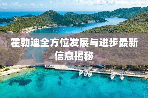 霍勒迪全方位发展与进步最新信息揭秘