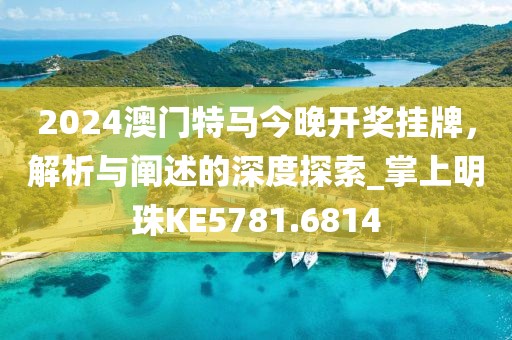 2024澳门特马今晚开奖挂牌，解析与阐述的深度探索_掌上明珠KE5781.6814