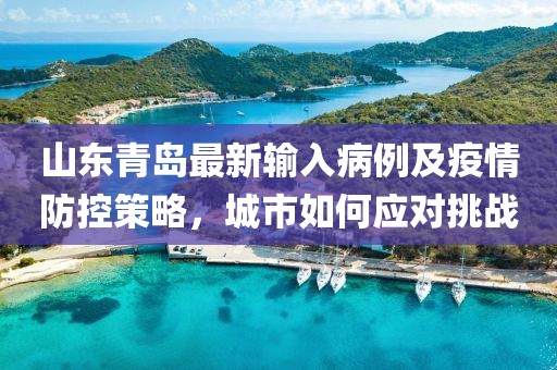 山东青岛最新输入病例及疫情防控策略，城市如何应对挑战