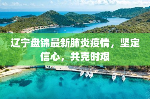 辽宁盘锦最新肺炎疫情，坚定信心，共克时艰